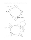 APTAMER-CONTAINING COMPOSITIONS AND METHODS FOR TARGETING E-SELECTIN diagram and image