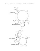 APTAMER-CONTAINING COMPOSITIONS AND METHODS FOR TARGETING E-SELECTIN diagram and image