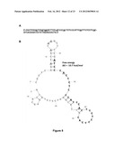 APTAMER-CONTAINING COMPOSITIONS AND METHODS FOR TARGETING E-SELECTIN diagram and image