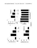 APTAMER-CONTAINING COMPOSITIONS AND METHODS FOR TARGETING E-SELECTIN diagram and image