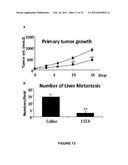 APTAMER-CONTAINING COMPOSITIONS AND METHODS FOR TARGETING E-SELECTIN diagram and image