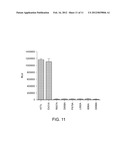 HEPATITIS C ANTIBODIES AND USES THEREOF diagram and image