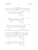 HEPATITIS C VIRUS INHIBITORS diagram and image