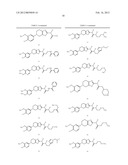 TETRAHYDROTHIAZOLOPYRIDINE INHIBITORS OF PHOSPHATIDYLINOSITOL 3-KINASE diagram and image