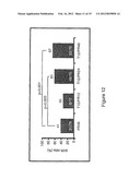 HCV Combination Therapies Comprising Pegylated Interferon, Ribavirin and     Telaprevir diagram and image