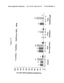 HCV Combination Therapies Comprising Pegylated Interferon, Ribavirin and     Telaprevir diagram and image