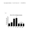 USE OF ANDROGENS FOR VASCULAR REGENERATION AND ENDOTHELIAL REPAIR diagram and image