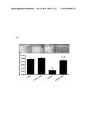 USE OF ANDROGENS FOR VASCULAR REGENERATION AND ENDOTHELIAL REPAIR diagram and image