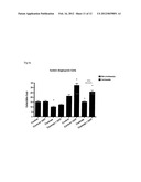 USE OF ANDROGENS FOR VASCULAR REGENERATION AND ENDOTHELIAL REPAIR diagram and image