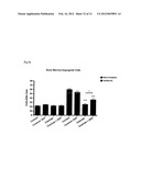 USE OF ANDROGENS FOR VASCULAR REGENERATION AND ENDOTHELIAL REPAIR diagram and image