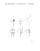 IDENTIFICATION OF EXTRACELLULAR FORM OF PTEN THAT CAN BE USED TO TREAT     TUMORS diagram and image