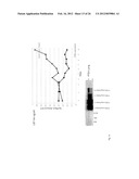 IDENTIFICATION OF EXTRACELLULAR FORM OF PTEN THAT CAN BE USED TO TREAT     TUMORS diagram and image