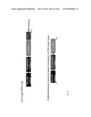 IDENTIFICATION OF EXTRACELLULAR FORM OF PTEN THAT CAN BE USED TO TREAT     TUMORS diagram and image