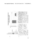 IDENTIFICATION OF EXTRACELLULAR FORM OF PTEN THAT CAN BE USED TO TREAT     TUMORS diagram and image