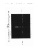 COMPOSITION AND METHOD FOR CANCER TREATMENT diagram and image