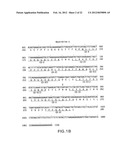 METHODS OF TREATMENT USING ANTIBODIES TO NEUTROKINE-ALPHA diagram and image