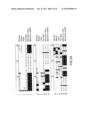 METHODS OF TREATMENT USING ANTIBODIES TO NEUTROKINE-ALPHA diagram and image