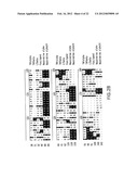 METHODS OF TREATMENT USING ANTIBODIES TO NEUTROKINE-ALPHA diagram and image