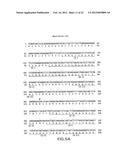 METHODS OF TREATMENT USING ANTIBODIES TO NEUTROKINE-ALPHA diagram and image