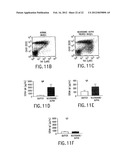 METHODS OF TREATMENT USING ANTIBODIES TO NEUTROKINE-ALPHA diagram and image