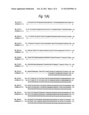 ANTI SYSTEM ASC AMINO ACID TRANSPORTER 2 (ASCT2) ANTIBODY diagram and image