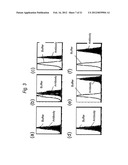 ANTI SYSTEM ASC AMINO ACID TRANSPORTER 2 (ASCT2) ANTIBODY diagram and image