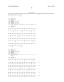 ANTI SYSTEM ASC AMINO ACID TRANSPORTER 2 (ASCT2) ANTIBODY diagram and image