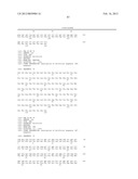 ANTI SYSTEM ASC AMINO ACID TRANSPORTER 2 (ASCT2) ANTIBODY diagram and image