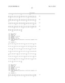 ANTI SYSTEM ASC AMINO ACID TRANSPORTER 2 (ASCT2) ANTIBODY diagram and image