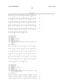 ANTI SYSTEM ASC AMINO ACID TRANSPORTER 2 (ASCT2) ANTIBODY diagram and image