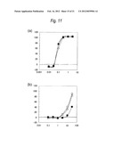 ANTI SYSTEM ASC AMINO ACID TRANSPORTER 2 (ASCT2) ANTIBODY diagram and image