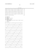 ANTI SYSTEM ASC AMINO ACID TRANSPORTER 2 (ASCT2) ANTIBODY diagram and image