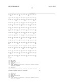 ANTI SYSTEM ASC AMINO ACID TRANSPORTER 2 (ASCT2) ANTIBODY diagram and image