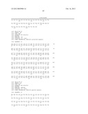 ANTI SYSTEM ASC AMINO ACID TRANSPORTER 2 (ASCT2) ANTIBODY diagram and image