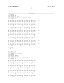 ANTI SYSTEM ASC AMINO ACID TRANSPORTER 2 (ASCT2) ANTIBODY diagram and image