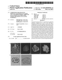 Composition for Enhancing Immunity Containing Plant Stem Cell Line Derived     from Cambium of Panax Ginseng Including Wild Ginseng or Ginseng as an     Active Ingredient diagram and image