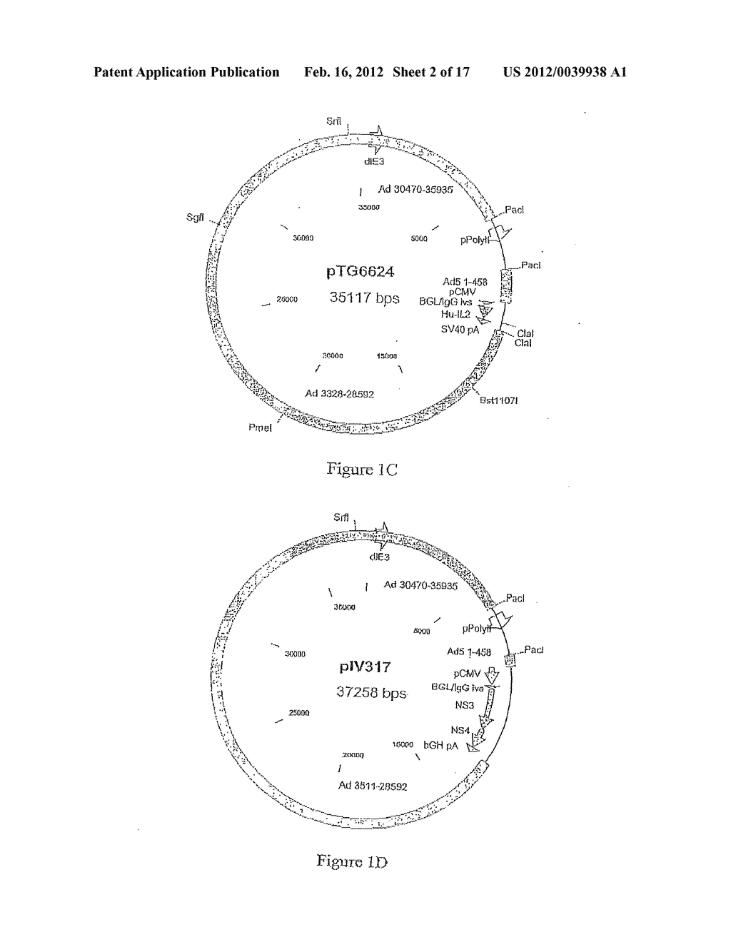 COMPOSITION COMPRISING THE POLYPROTEIN NS3/NS4 AND THE POLYPEPTIDE NS5B OF     HCV, EXPRESSION VECTORS INCLUDING THE CORRESPONDING NUCLEIC SEQUENCES AND     THEIR THERAPEUTIC USE - diagram, schematic, and image 03