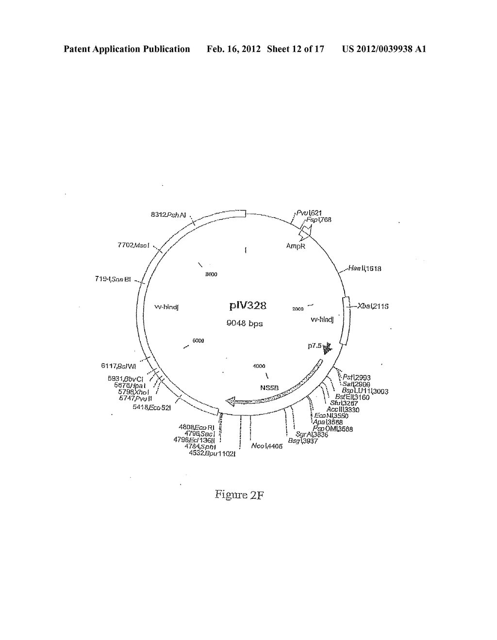 COMPOSITION COMPRISING THE POLYPROTEIN NS3/NS4 AND THE POLYPEPTIDE NS5B OF     HCV, EXPRESSION VECTORS INCLUDING THE CORRESPONDING NUCLEIC SEQUENCES AND     THEIR THERAPEUTIC USE - diagram, schematic, and image 13