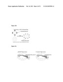 Liposome Compositions and Methods of Use Thereof diagram and image