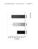 USE OF APOPTOSIS INHIBITING COMPOUNDS IN DEGENERATIVE NEUROLOGICAL     DISORDERS diagram and image