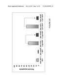 USE OF APOPTOSIS INHIBITING COMPOUNDS IN DEGENERATIVE NEUROLOGICAL     DISORDERS diagram and image