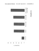 USE OF APOPTOSIS INHIBITING COMPOUNDS IN DEGENERATIVE NEUROLOGICAL     DISORDERS diagram and image