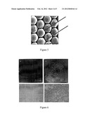 LARGE-AREA PARTICLE-MONOLAYER AND METHOD FOR FABRICATING THE SAME diagram and image