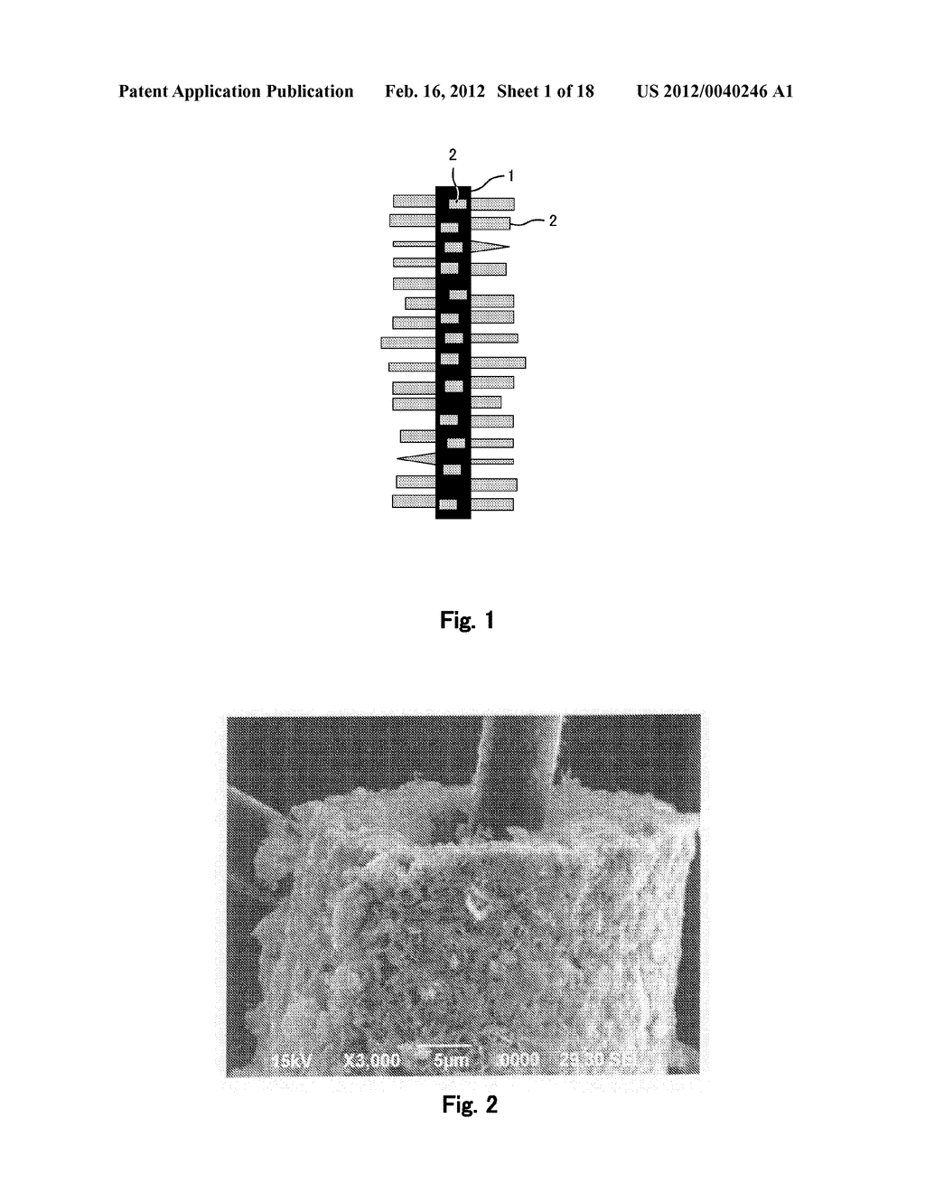 Fiber Electrode for Lithium Secondary Battery, Fabrication Method     Therefor, and Lithium Secondary Battery Including Fiber Electrode - diagram, schematic, and image 02