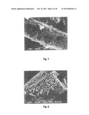 Fiber Electrode for Lithium Secondary Battery, Fabrication Method     Therefor, and Lithium Secondary Battery Including Fiber Electrode diagram and image