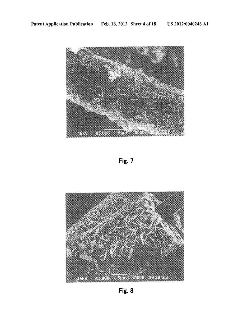 Fiber Electrode for Lithium Secondary Battery, Fabrication Method     Therefor, and Lithium Secondary Battery Including Fiber Electrode - diagram, schematic, and image 05