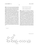 ELECTRODE ELECTROLYTE FOR SOLID POLYMER-TYPE FUEL CELL diagram and image