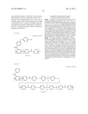 ELECTRODE ELECTROLYTE FOR SOLID POLYMER-TYPE FUEL CELL diagram and image