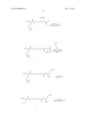 NUCLEOTIDE ANALOGS diagram and image