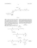 NUCLEOTIDE ANALOGS diagram and image